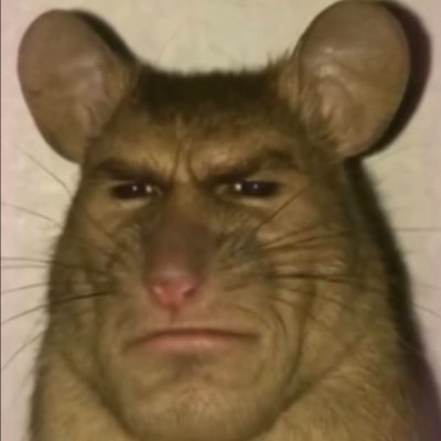 TerroxVAL's profile picture. enabled by @EsportsPlayerF1