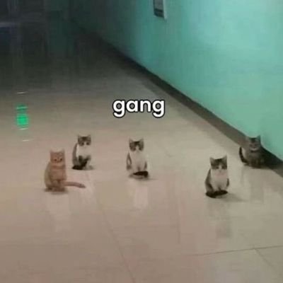 ctangannya4's profile picture. omongannya ngasal