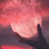 yesdista's profile picture. 