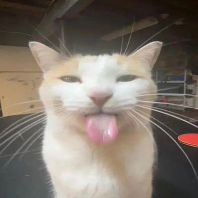 FerVenganza's profile picture. kulikitakati kulikitakata