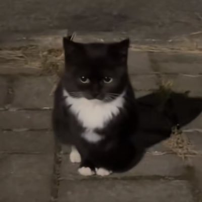 o1loi__'s profile picture. @inllllii