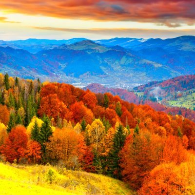 DrBekirCINAR's profile picture. Political Scientist/ RTs/follows not endorsements. Views are my own