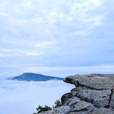 pbjelly45's profile picture. 