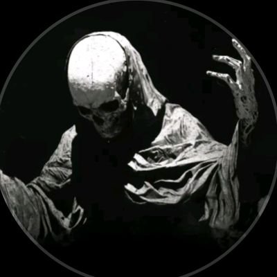 zDyren7's profile picture. 
