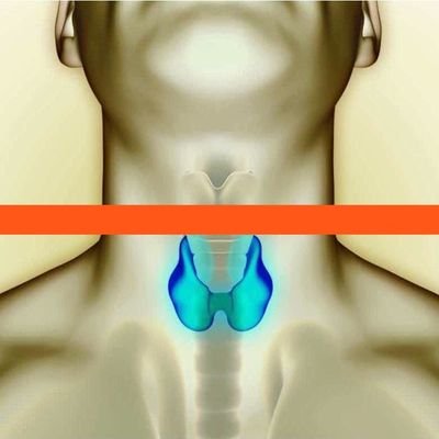 amar_mehamedia's profile picture. 