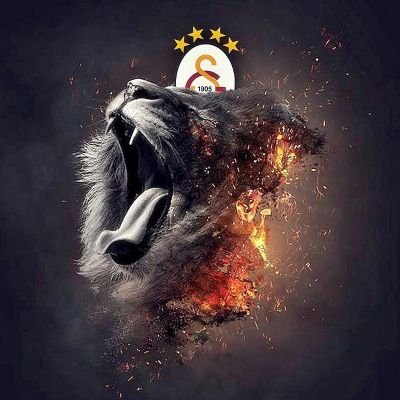 gala_golgesi's profile picture.