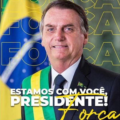 lykamcs61's profile picture. Deus pátria família e liberdade ser patriota e honesta é meu orgulho  #PAZ🇧🇷💚