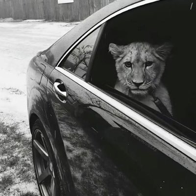 LarryCabre14927's profile picture. 