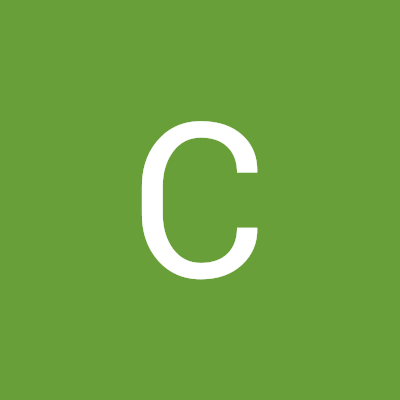 crstnzlz's profile picture. 