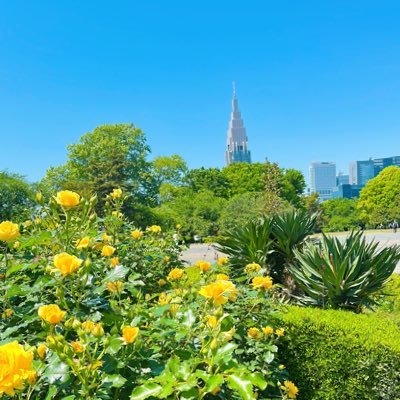 sui_su1_0y09u's profile picture. スイ(am_a_su_000)の日常垢＊ヨーロッパ(特に🇬🇷)の風景、心霊YouTuberさんとか岩手埼玉京都奈良を追います✨