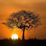 Aminata1039793's profile picture. Chaque jour est une nouvelle chance