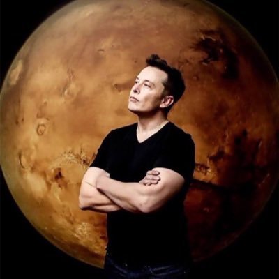 reevmusk8299's profile picture. Adviser