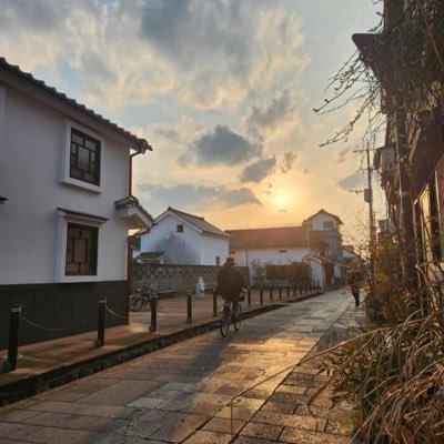 aprikose_14's profile picture. 