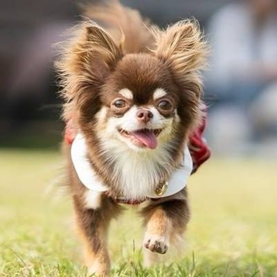 codabory's profile picture. DTM/AI/ラジオ