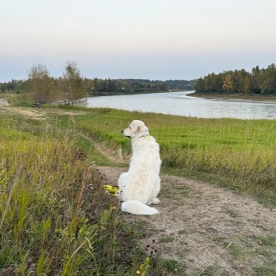 jimmyg1964's profile picture. No DM’s. all politicians are imperfect but some are absolutely evil. Trust meter is running on low. love family, dogs and golf, that’s about it