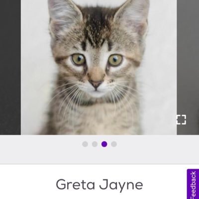 dild0bagg1ns's profile picture. 