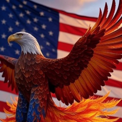MSmith457's profile picture. MAGA, America First, political junkie, 🚫NO DM’s!
