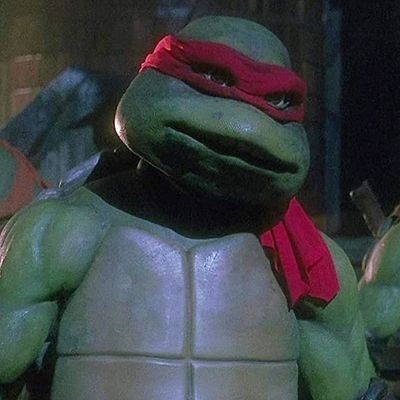 William8rannick's profile picture. Turtle Power