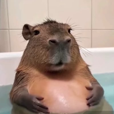 Teodor1569817's profile picture. reply guy