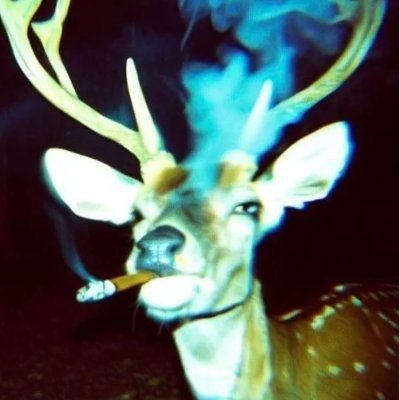 JTF544's profile picture. Dipshit, Shitposter, & Minako Yoshida's biggest stan. 

moving to bluesky when their video compression doesn't make your shit look like a 2006 Crank Dat video.