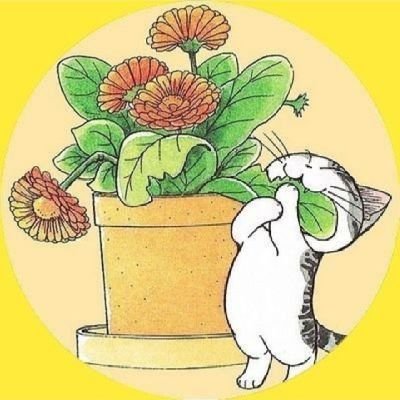 NyaPon8's profile picture. 元・医療職＋教員。約6年前、難病（自己免疫疾患）となり意識朦朧になり退職。下半身麻痺でリハビリ中。また、働きたいなぁ〜。父親はコロナワクチンの数ヶ月後に急変し在宅で亡くなりました。私は、6年間で約6回のみの外出で浦島太郎状態。趣味は、アロマストーン、レジン、ビーズ作り、音楽鑑賞です。動物が好き。よろしくお願いします🙇