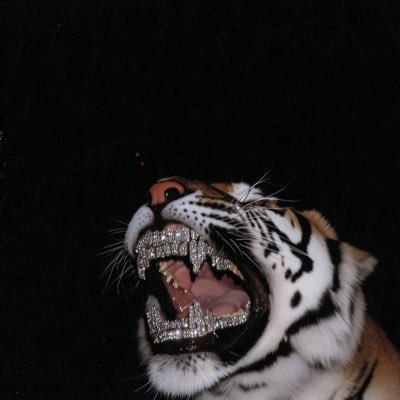 MallyDigital's profile picture. 🎨: @jmalikart | 𝑨𝒓𝒕, 𝒅𝒆𝒔𝒊𝒈𝒏 & 𝒂𝒍𝒍 𝒕𝒚𝒑𝒆𝒔 𝒐𝒇 𝒊𝒍𝒍 💩 | ©𝟏𝟗𝟖𝟕 | 𝑳𝑳 𝑵𝑰𝑷 🕊️🏁