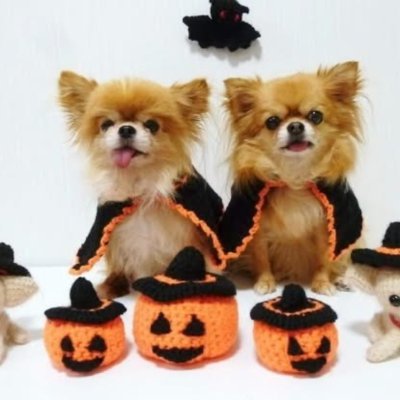 kyarochan93's profile picture. 日々のおもしろいことや、お料理・ハンドメイドのブログを毎日更新中～～～♪