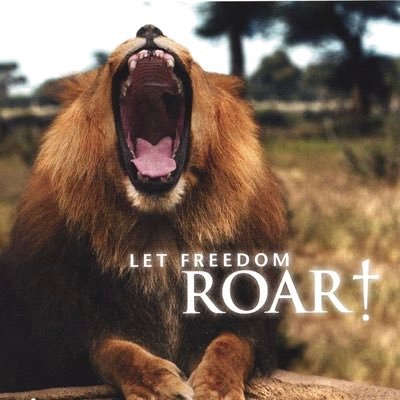 Roaring_Freedom's profile picture. “Courage for my faith” -Charlie Kirk 🇺🇸USA🇺🇸 💎GME💎