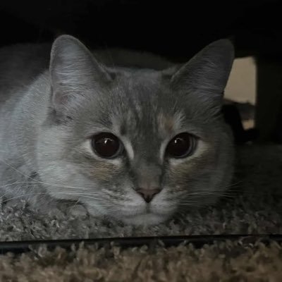 SalcidoZzz's profile picture. HII ||| I am a mixed african american male… #4 Oklahoma! 17yrsold & Rhodium osu! player