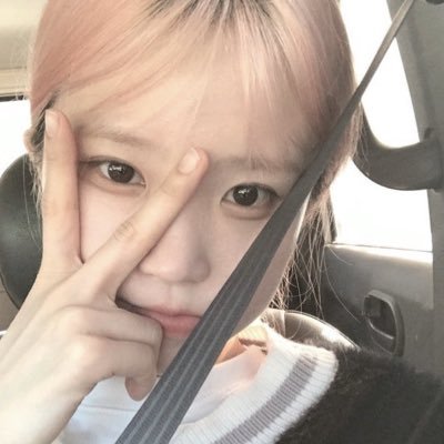 ⠀⠀⠀ ⠀⠀(@winrinagfs is my world) phoca collector in bh. ݁𖦹₊ ⊹
