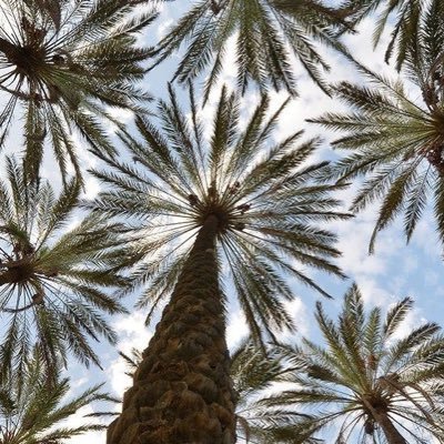 M4430785169645's profile picture. أستغفرالله العظيم وأتوب إليه . .