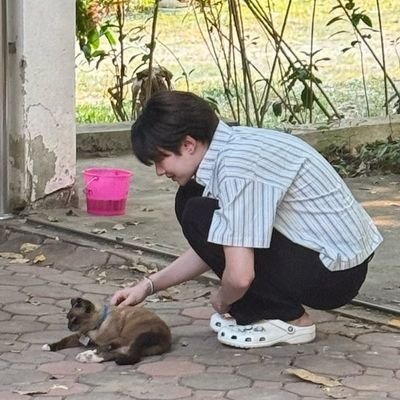 whenrainfall's profile picture. nampingster / knp ૮ ․ ․ ྀིა  ｡˚  ｡ ·  ｡° ‧  🦆🐰