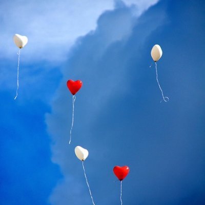DotTok55272's profile picture. 