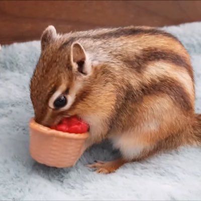 gaegugjinyang's profile picture. 이승아