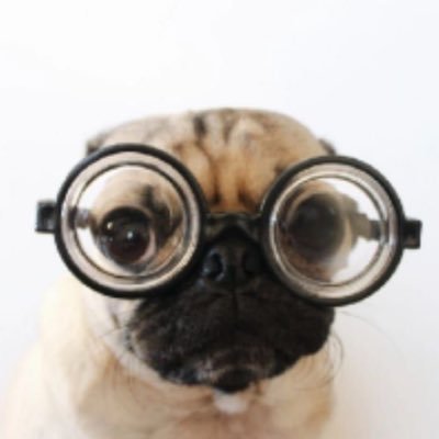 aebdieake's profile picture. 