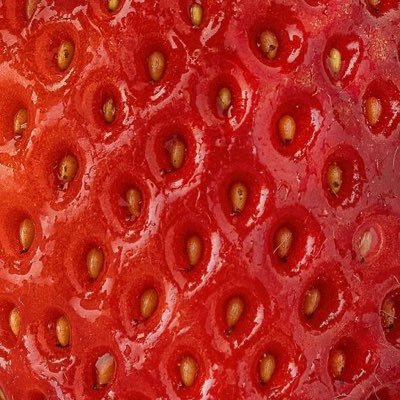 s4nitaFresita's profile picture. Me gusta lana y los gatos. #edtw