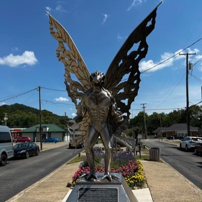 staphanderson's profile picture. my reality check bounced