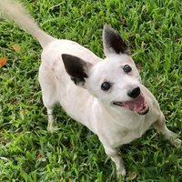 sQuirrelGlider (@squirrelglide17) 's Twitter Profile