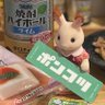 okankiroku's profile picture. いつか夜眠れる生活をする🦄／ぱんかぃ🍻と休缶ビンは人生の個別性🫙🫧／赤ウィン同好会会長🐙 ／ƒ1️⃣🍏jams