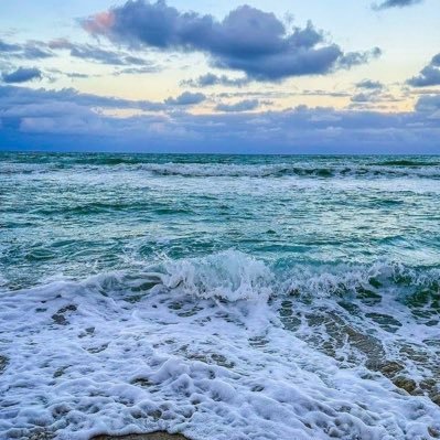 colardeconcha's profile picture. dizi fan ✨ filha do mar 🌊🦋
