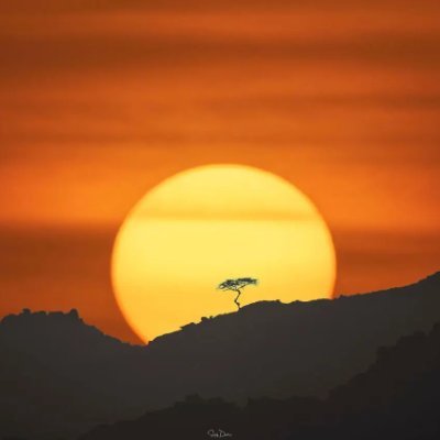EryHyrt38313's profile picture. 