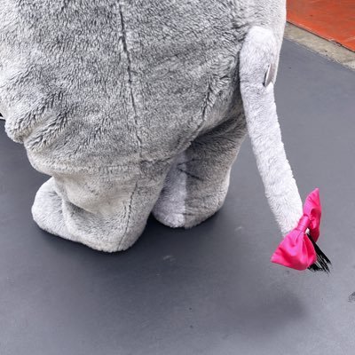 CottonDisney's profile picture. 最推しのSiriが可愛い🩷ディズニー大好き💕去年の香港ハロウィン🎃が楽し過ぎて恋しくなり、この10月に1人インでMA作成予定✍️ディズニー好きの方、ぜひ仲良くしてください🥰 #ディズニー好きと繋がりたい