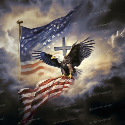 Mo22NJ's profile picture. 🇺🇸 Turning point