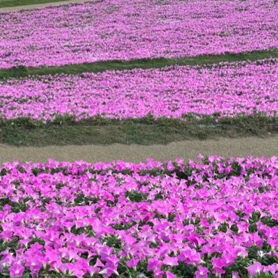 lucky89901's profile picture. アイデンティティがない 生まれない らららら ◠‿◠