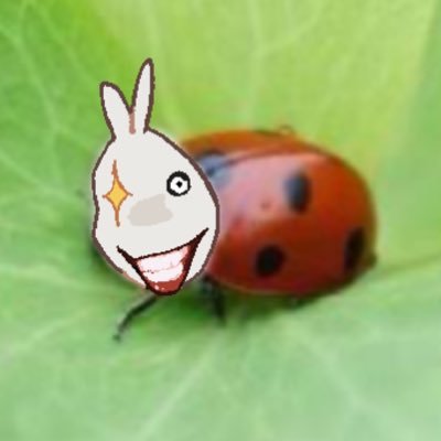 kokognos Profile Picture