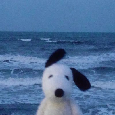 reidsviolets's profile picture. | beyoncé antis dni