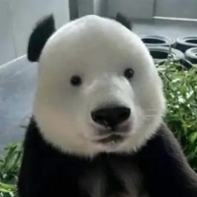 xixi19r's profile picture. who put you on the planet