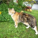 gladys serrano - @serranog19 - Twitter