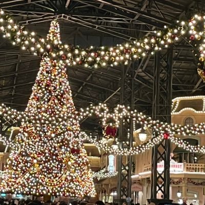 chanbaek0524's profile picture. SnowMan⛄️/💜💛💙より箱推し🖤❤️💚🩷🧡🤍/Disney