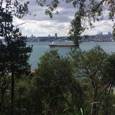 y1283_'s profile picture.